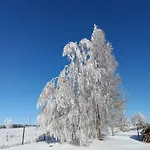 Detrichovka * Detrichov Nad Bystrici