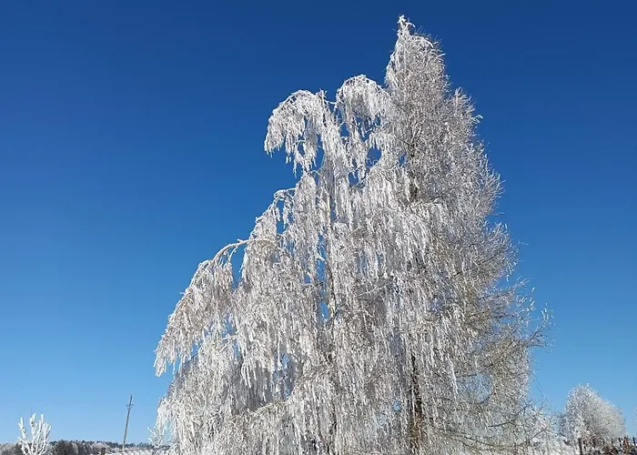 Detrichovka * Detrichov Nad Bystrici